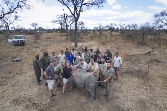 photo of Roaming Media with the Nkombe Rhino and Sun Destinations teams at a dehorning