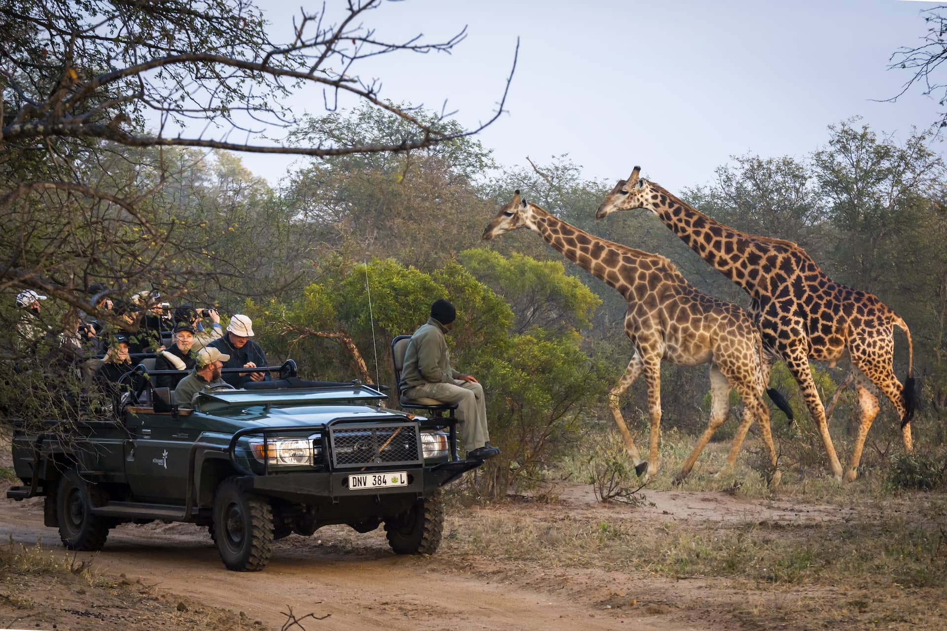 photo of Nthambo tree camp game vehicle with giraffe