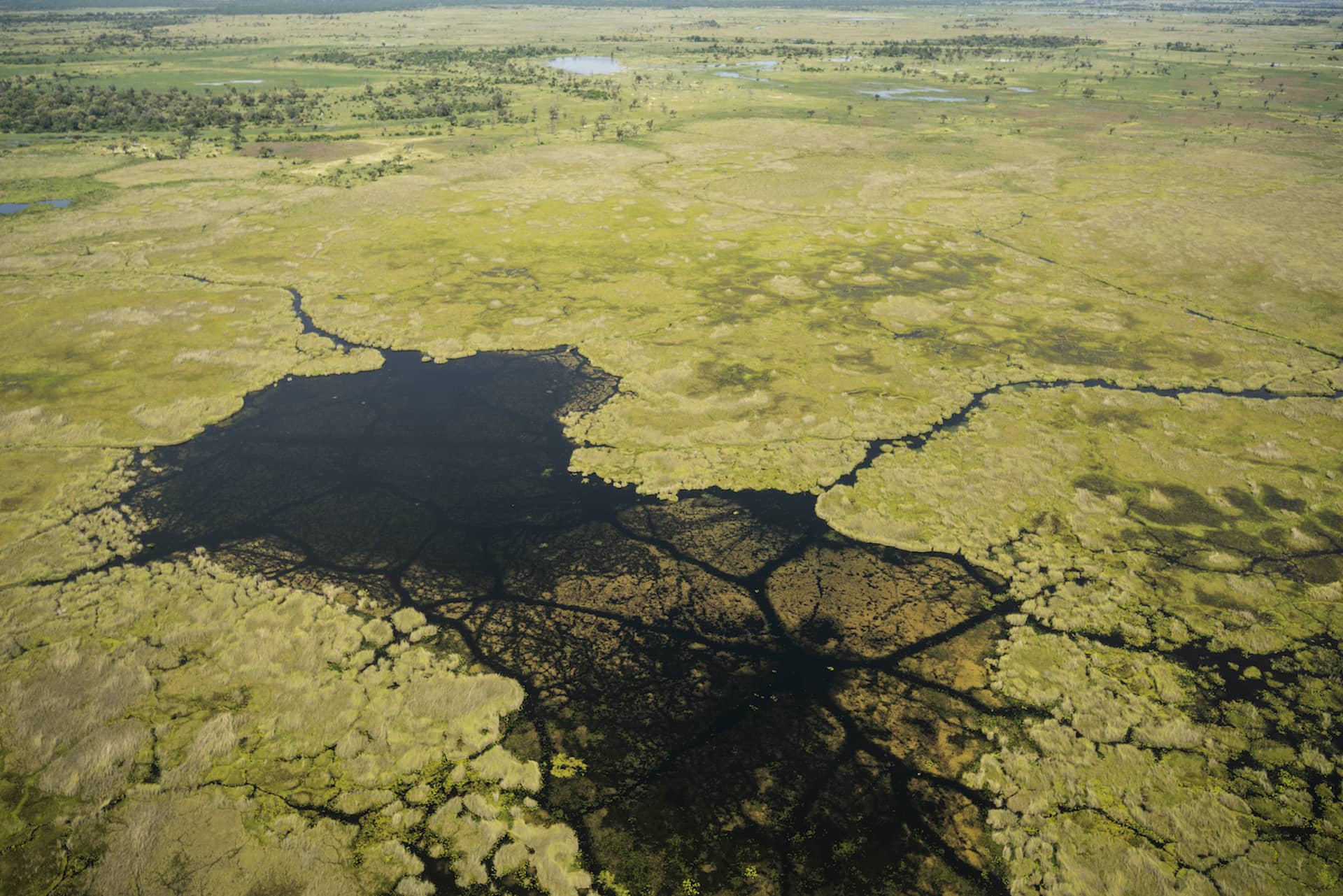 aerial photo of the Okavango delta