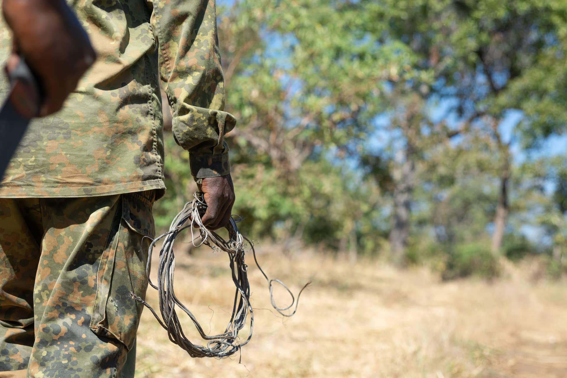 photo of an anti-poaching ranger with some snares they found