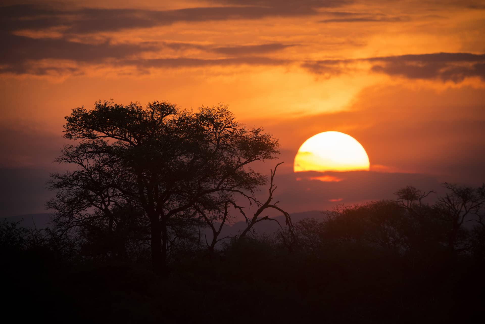 photo of an African Sunset