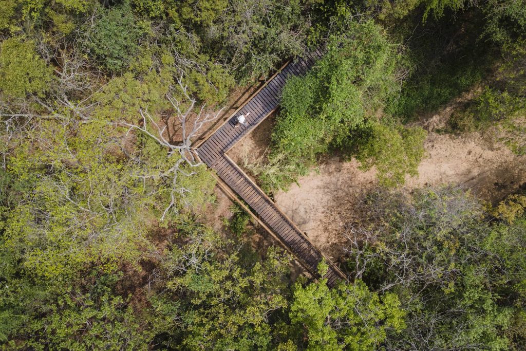 Photo of wooden walkways from above